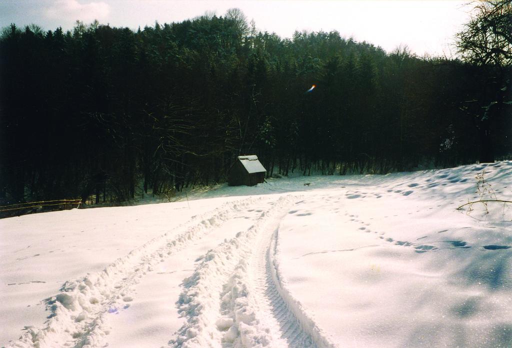 Landhaus Waldfrieden Lassnitzhoehe Buitenkant foto