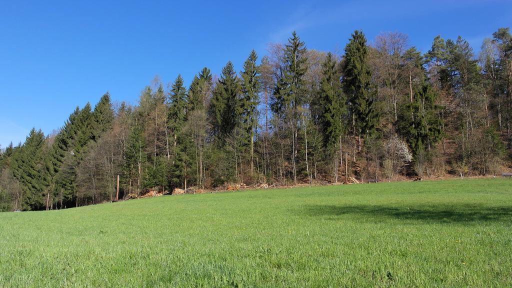 Landhaus Waldfrieden Lassnitzhoehe Buitenkant foto